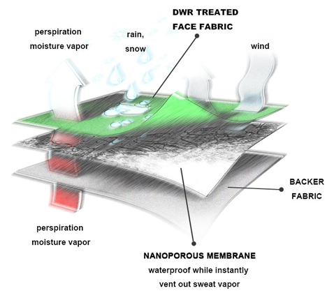 What Product is PTFE Membrane Used for?