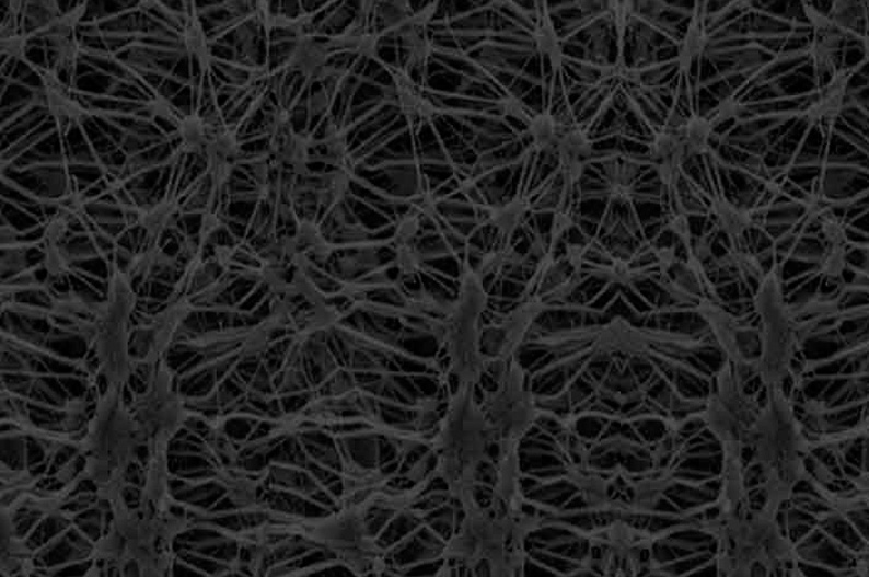 Expanded PTFE Membrane Can Be Used in Cold Clothing