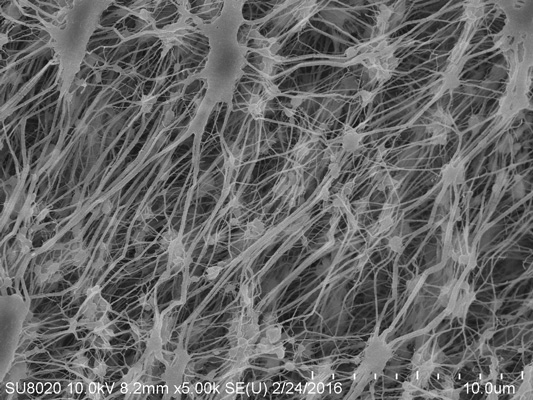 What Is PTFE Micro Porous Membrane?