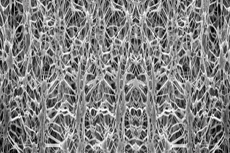 In-Depth Analysis of Waterproof and Breathable Performance of Expanded PTFE Membrane and Exploration of Its Outdoor Application