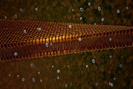 Teflon Membrane: A New Material for Outdoor Sportswear